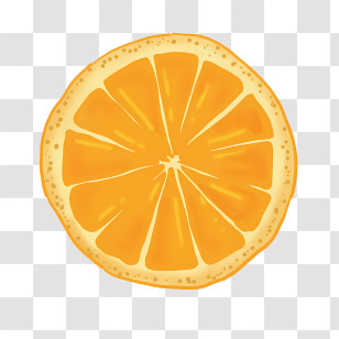 Icon - Illustrated Orange Slice Transparent PNG