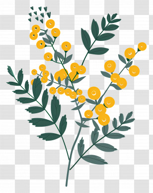 Small Flower - Yellow Flower Branch Illustration Transparent PNG