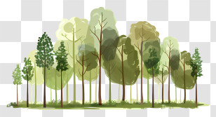 International Day Of Forests - Watercolor Forest With Trees Transparent PNG
