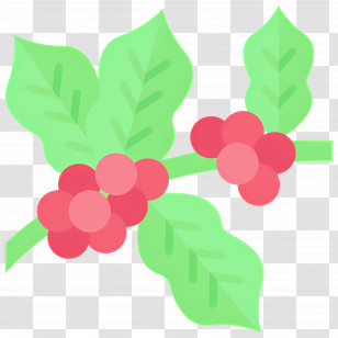 Coffee Plant - Flat Cartoon Coffee Berries With Leaves Illustration Transparent PNG