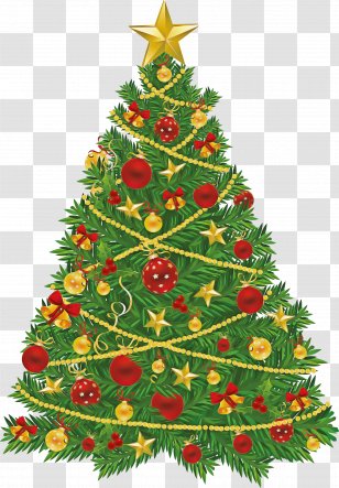 Christmas Tree - Evergreen - Pine Transparent PNG