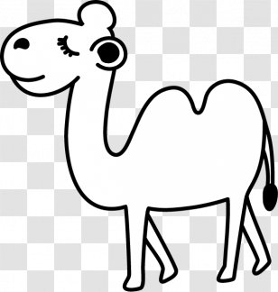 Camel Wildlife Illustration Black And White Horse - Tree Transparent PNG