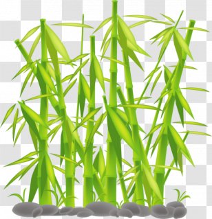 Bamboo Tutorial - Grass Transparent PNG