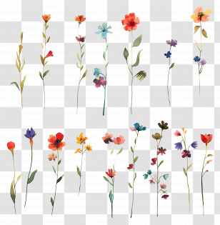 Flower Background - Watercolor Floral Collection Transparent PNG