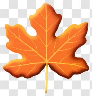 Autumn Leaf - Orange Maple Leaf Illustration Transparent PNG