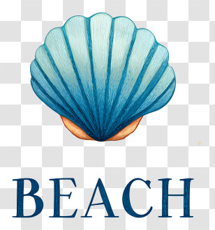 Beach Logo - Seashell Beach Illustration Transparent PNG
