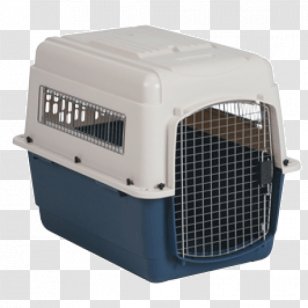 dog crate cooler