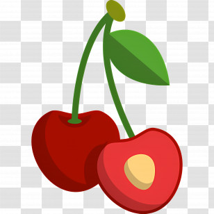 Cherry - Cartoon Cherries Illustration With Leafy Detail Transparent PNG