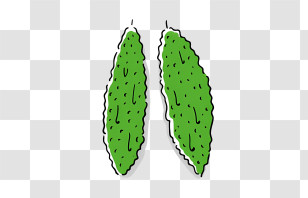 Cartoon - Green Bitter Melon Illustration Transparent PNG