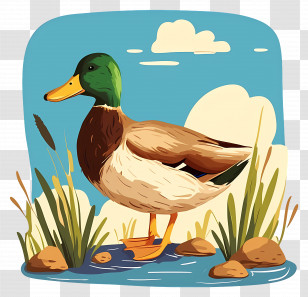 Cartoon Duck - Serene Cartoon Duck By Water Transparent PNG