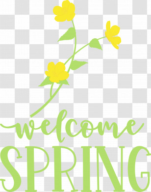 Floral Design Transparent PNG