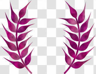 Wheat Ears Transparent PNG