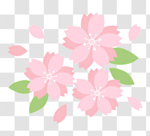 Icon - Pink Cherry Blossom Flowers In Bloom Transparent PNG