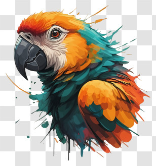 Colorful Parrot - Colorful Parrot With Vibrant Feathers Transparent PNG