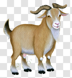 Zodiac Chinese - Realistic Brown Goat Illustration Transparent PNG