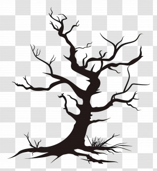 Dead Tree - Silhouette Design Of A Barren Tree Transparent PNG