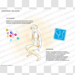 Homo Sapiens Human Behavior Logo Material - Silhouette - Design Transparent PNG