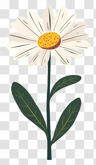 White Daisy With Green Stem - White Daisy Illustration With Green Stem Transparent PNG