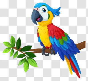 Macaw - Vibrant Parrot Perched On A Branch Transparent PNG