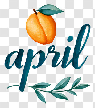 April Apricot - April Apricot Hand-lettering Transparent PNG