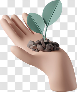 Hand Plant - Hand Holding Growing Plant With Stones Transparent PNG