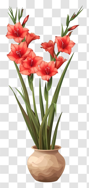 Gladiolus - Red Gladiolus Flowers In A Vase Transparent PNG