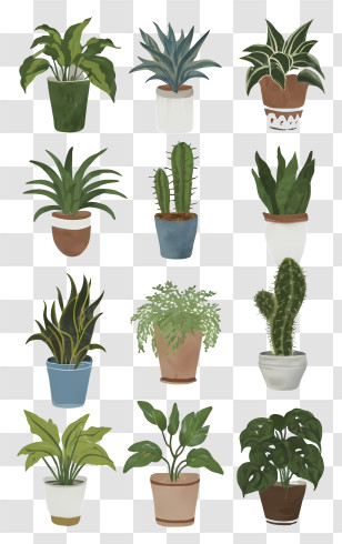 Potted Plants - Illustration Of Various Potted Houseplants Transparent PNG