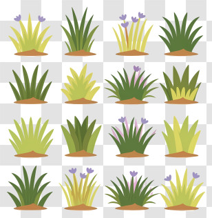 Plants - Various Types Of Grass Transparent PNG