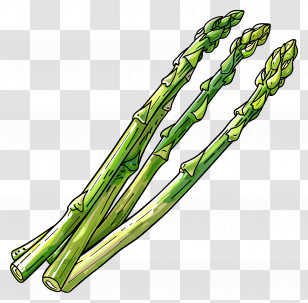 Asparagus - Fresh Asparagus Spears Illustration Transparent PNG