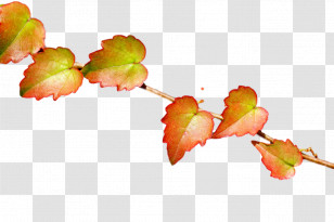 Strawberry Transparent PNG