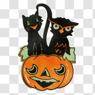 Orange - Cat - Fruit Plant Transparent PNG