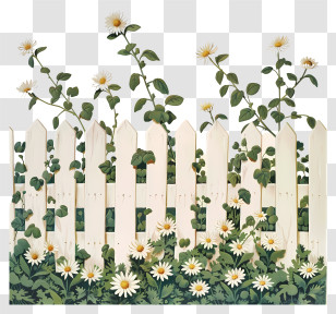 Garden Fence - White Daisies On White Fence Transparent PNG