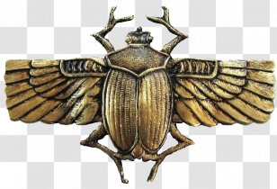 Ancient Egypt Scarab Jewellery Amulet Egyptian - Beetle Transparent PNG