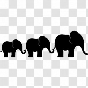 Indian Elephant African Black & White - M Clip Art Transparent PNG