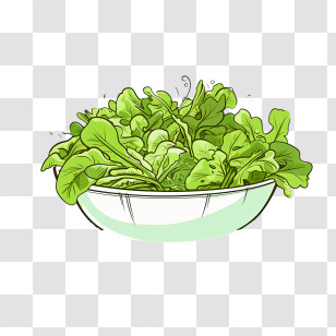 Green Salad
 - Fresh Green Lettuce In A Bowl Transparent PNG