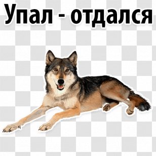 Dog Clip Art Transparency Desktop Wallpaper - Breed Group Transparent PNG