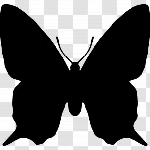 Butterfly Silhouette - Black Butterfly Silhouette Design Transparent PNG