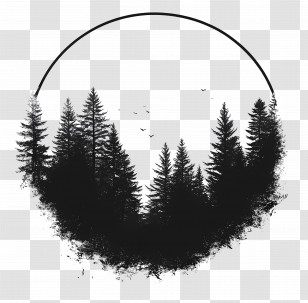 Forest Frame - Forest Silhouette In Circular Frame Transparent PNG