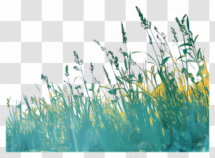 Grass - Illustration Of Grass Field And Herbs Transparent PNG