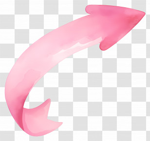 Pink Curved Arrow - Pink Curved Arrow Illustration Transparent PNG