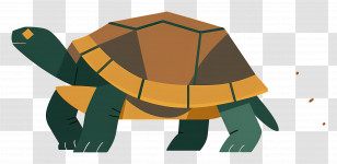 Cartoon Turtle - Illustrated Walking Tortoise Transparent PNG