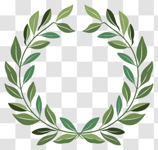 Laurel Wreath - Green Leaf Wreath Illustration Transparent PNG