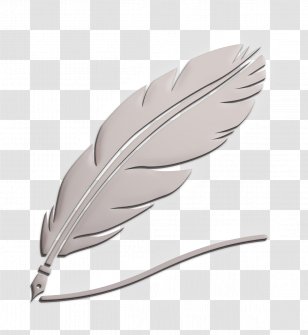Education Icon Quill Drawing A Line Feather - Office Supplies Silver Transparent PNG