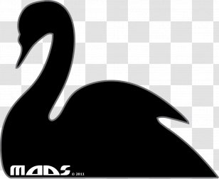 Bird Black Swan Insect Clip Art - Water - Pictures Of Cartoon Birds,  Insects, Birds And Insects Transparent PNG