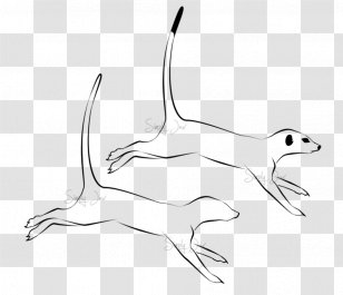 Meerkat Art Sketch - Beak Transparent PNG