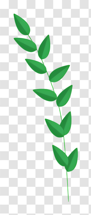 Green Leafy Stem - Green Leafy Branch Illustration Transparent PNG