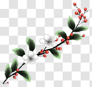 Floral Border - White Flower And Red Berry Branch Illustration Transparent PNG