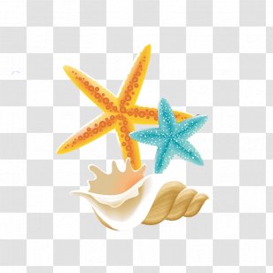 Starfish - Scalable Vector Graphics - Summer Theme,Summer Promotion,Icy Summer,Blue Sky,Baiyun,sunlight,hot Air Balloon,Spray,Starlight,starfish,glacier,seawater Transparent PNG