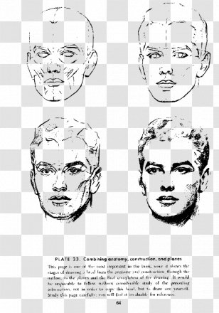 Andrew Loomis Drawing The Head And Hands Human Anatomy - Watercolor - Method Transparent PNG