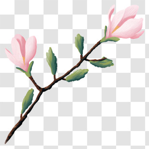 Branch - Delicate Pink Flower Branch Illustration Transparent PNG